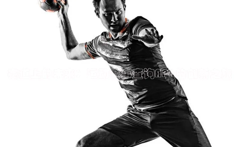 赛道上的未来：运动赛事查询APP的创新之旅